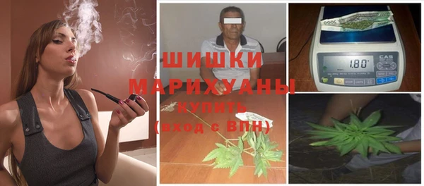 шишки Ладушкин