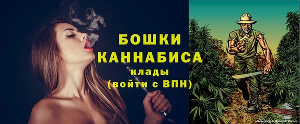 шишки Ладушкин