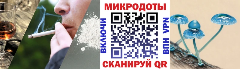 Купить где  Чёрмоз  Галлюциногенные грибы Psilocybe 
