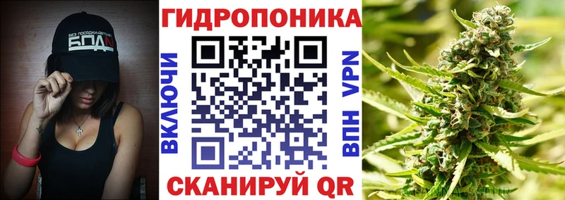 Конопля план  Купить закладки  Чёрмоз 